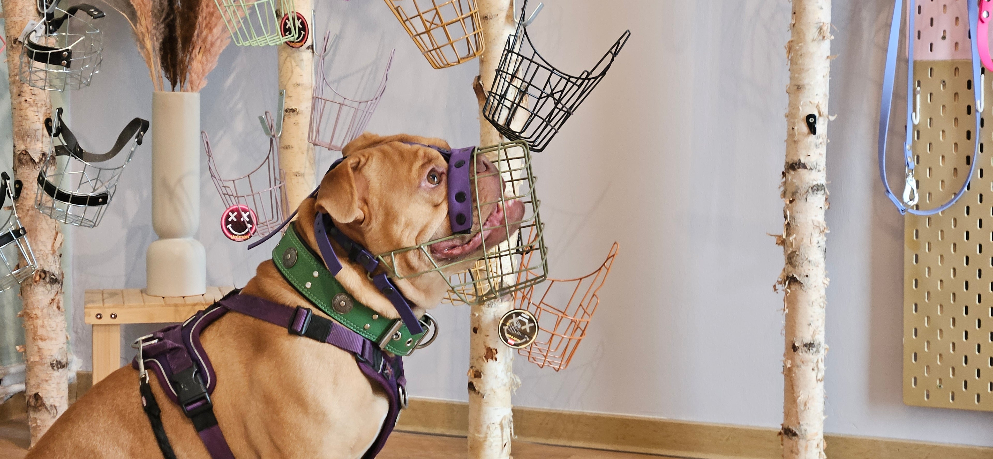 MKA Bullit M - Rohling