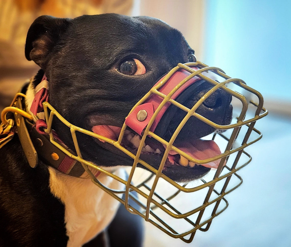 Augenausschnitt u./o. Stirnriemen Halterung - Rohling 